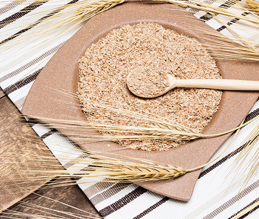 Organic Farming Student Work Experience